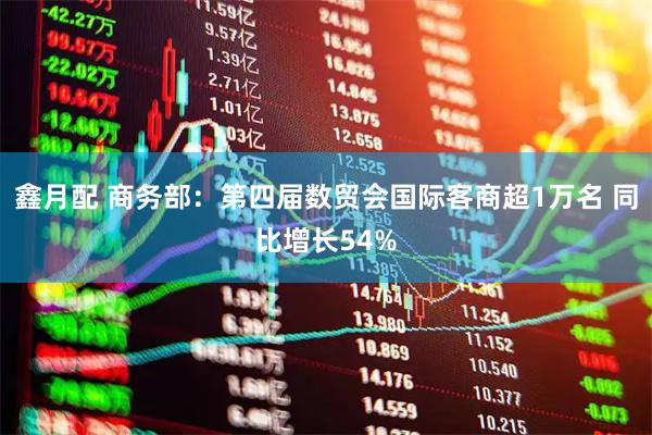 鑫月配 商务部：第四届数贸会国际客商超1万名 同比增长54%