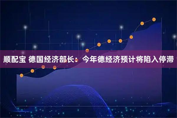顺配宝 德国经济部长：今年德经济预计将陷入停滞