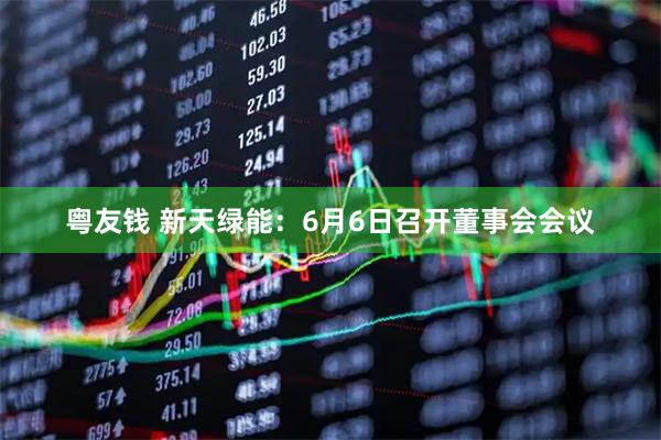 粤友钱 新天绿能：6月6日召开董事会会议