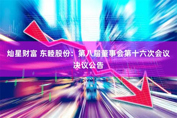 灿星财富 东睦股份：第八届董事会第十六次会议决议公告
