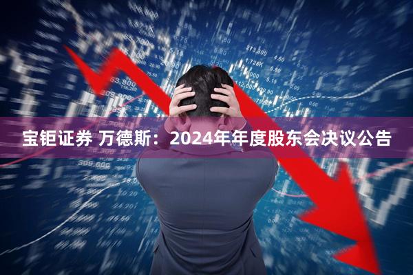 宝钜证券 万德斯：2024年年度股东会决议公告