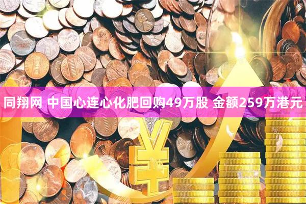 同翔网 中国心连心化肥回购49万股 金额259万港元