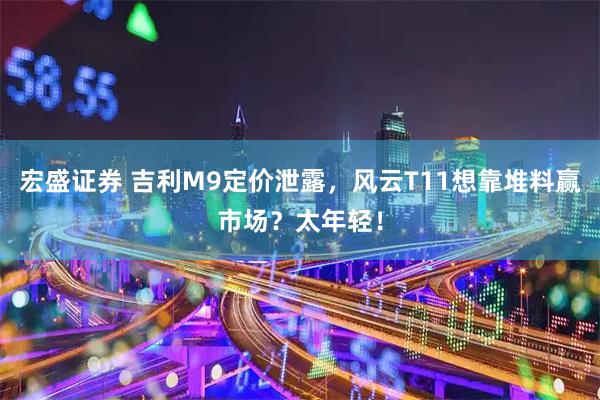 宏盛证券 吉利M9定价泄露，风云T11想靠堆料赢市场？太年轻！