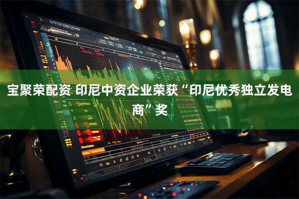 宝聚荣配资 印尼中资企业荣获“印尼优秀独立发电商”奖