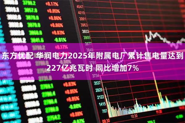 东方优配 华润电力2025年附属电厂累计售电量达到227亿兆瓦时 同比增加7%