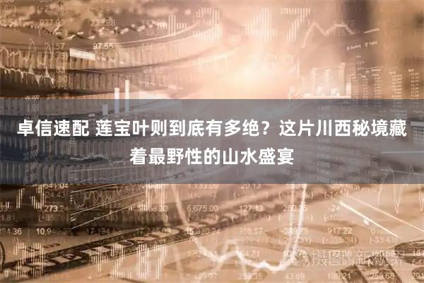 卓信速配 莲宝叶则到底有多绝？这片川西秘境藏着最野性的山水盛宴